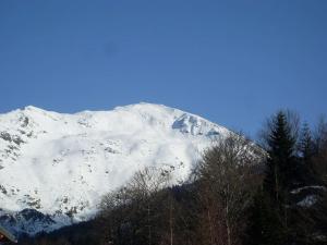 Appartements Logement dans chalet a la montagne : photos des chambres