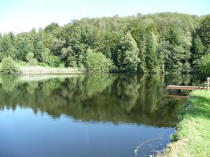 Maisons de vacances Gite La Chapelle Pleine Nature Plateau 1000 etangs : photos des chambres