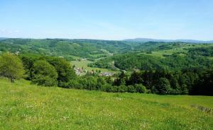 Maisons de vacances Gite La Chapelle Pleine Nature Plateau 1000 etangs : photos des chambres