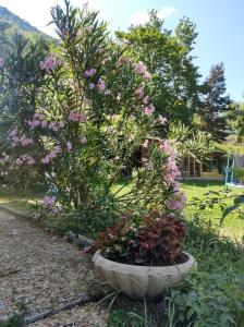 Maisons de vacances Gite au pied du vercors : photos des chambres