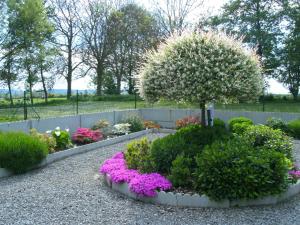 Gîte ferme du moulin