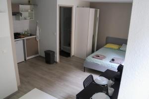 Appartements Jolie studio en plein centre de Clermont-Ferrand : photos des chambres