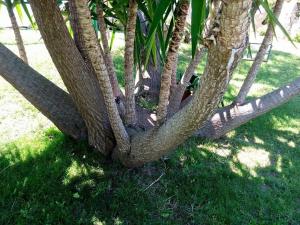 Bed and Breakfast Li Paduli Alvi img39