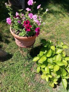 Bed and Breakfast Li Paduli Alvi img41