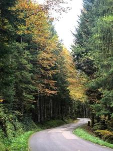 Chalets Nuit insolite - La cabane du Haut-Doubs : photos des chambres