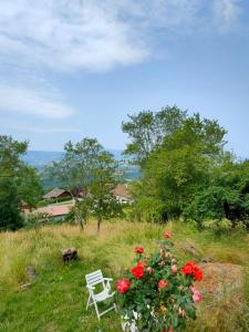 Maisons de vacances Entre Geneve et Chamonix, vue a 180° sur les montagnes : photos des chambres