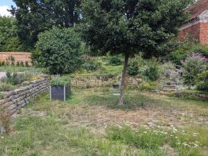 Altmark - Haus am Hang mit Garten