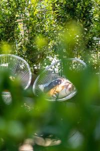 Villa Ilma Luxury Rooms img40