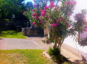 Apartments Villa Anton