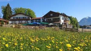 Landhotel Alphorn - Ofterschwang
