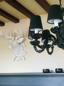 Appartements L’Annexe : photos des chambres