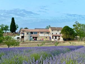Chambre à la ferme au milieu des lavandes