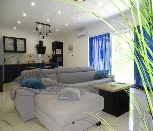 Holiday house Parancin