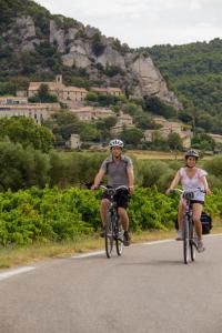 Maisons de vacances Gites Violettes et Amandier : photos des chambres