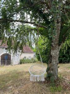 Maisons de vacances Domaine de Puygiraud sur L'Anglin : photos des chambres