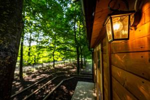 Tiny House - Gilda e i suoi amici