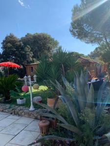 B&B / Chambres d'hotes Chambres d'hotes des huppes : photos des chambres