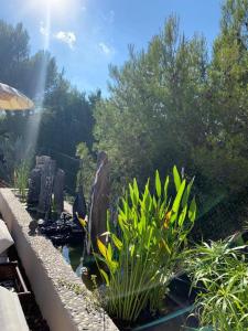 B&B / Chambres d'hotes Chambres d'hotes des huppes : photos des chambres