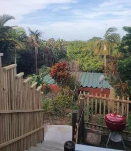 Ocean Walk Starfish - Dokodweni