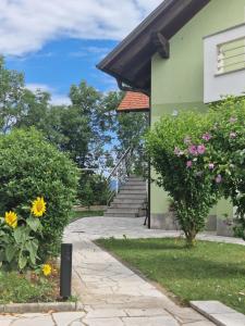 Green House Apartment