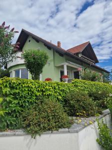 Green House Apartment