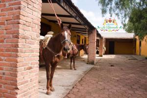 Hacienda La Gioconda