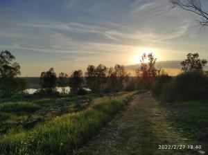 Casa Rural "Casa Isla del Zújar"