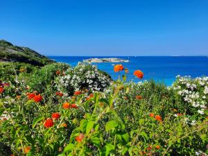 Porto Quadro vista Mare e vista Corsica
