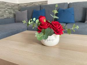 Rijeka city center apartment