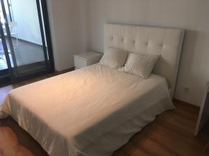 Bedrooms in Modern Guest House