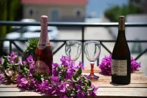 ΑΛΙΠΛΟΟΝ - Pléssa