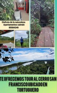 Apartamentos Caimán Tortuguero