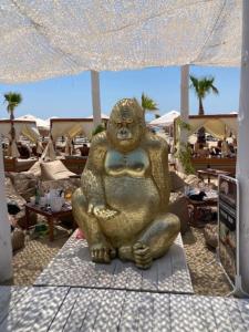 Beachfront Studio Apartment in Marina Dinevi