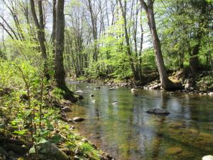 Campings Camping de masevaux : photos des chambres