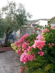 Oleandro - 伊格莱西亚斯