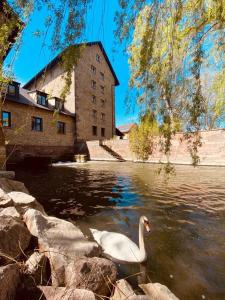 Hotels Hotel-SPA Le Moulin De La Wantzenau - Strasbourg Nord : photos des chambres