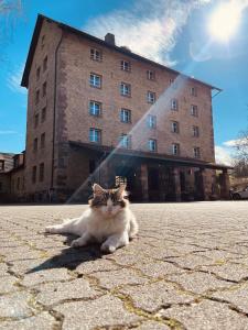 Hotels Hotel-SPA Le Moulin De La Wantzenau - Strasbourg Nord : photos des chambres