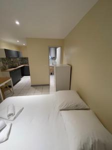 Appartements Appartement ou studio en hyper centre, pour la plage et la rue pietonne il suffit de traverser la rue , voir la photo principale : photos des chambres