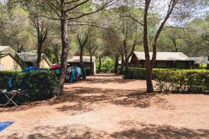 Empty lot - small tent