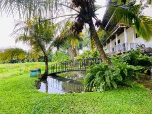 Mudalige Dream Paradise