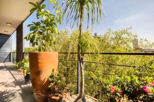 Chic PH Haven with rooftop, Condesa 2BR By Tasman