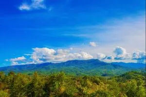 Grand Vista View- Breathtaking Views,1089 of FREE tickets for each paid day, Dollywood and More - 皮特曼中心