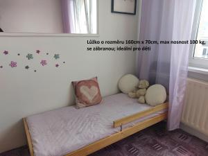 Apartmán v podhůří Krušných hor