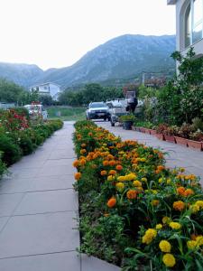 Apartments Old Olive