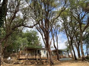 Les chalets des Iles : photos des chambres