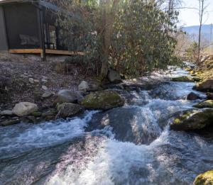 Honeybee Cottage , Pickleball Court, Creek, WIFI, Mountain Views, Starting at 69