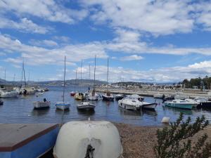 Maisons de vacances Maison de vacances a Pegomas avec piscine - 3 chambres - 5 personnes - Jardin et parking privatif : photos des chambres