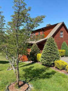 Beautiful Cabin near New River with Mountain Views!