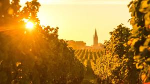 Hotels InterContinental Bordeaux Le Grand Hotel by IHG : photos des chambres