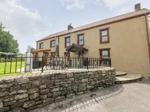 Pant Teg Farm - Llangendeirne